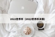 2022世界杯（2022世界杯决赛）